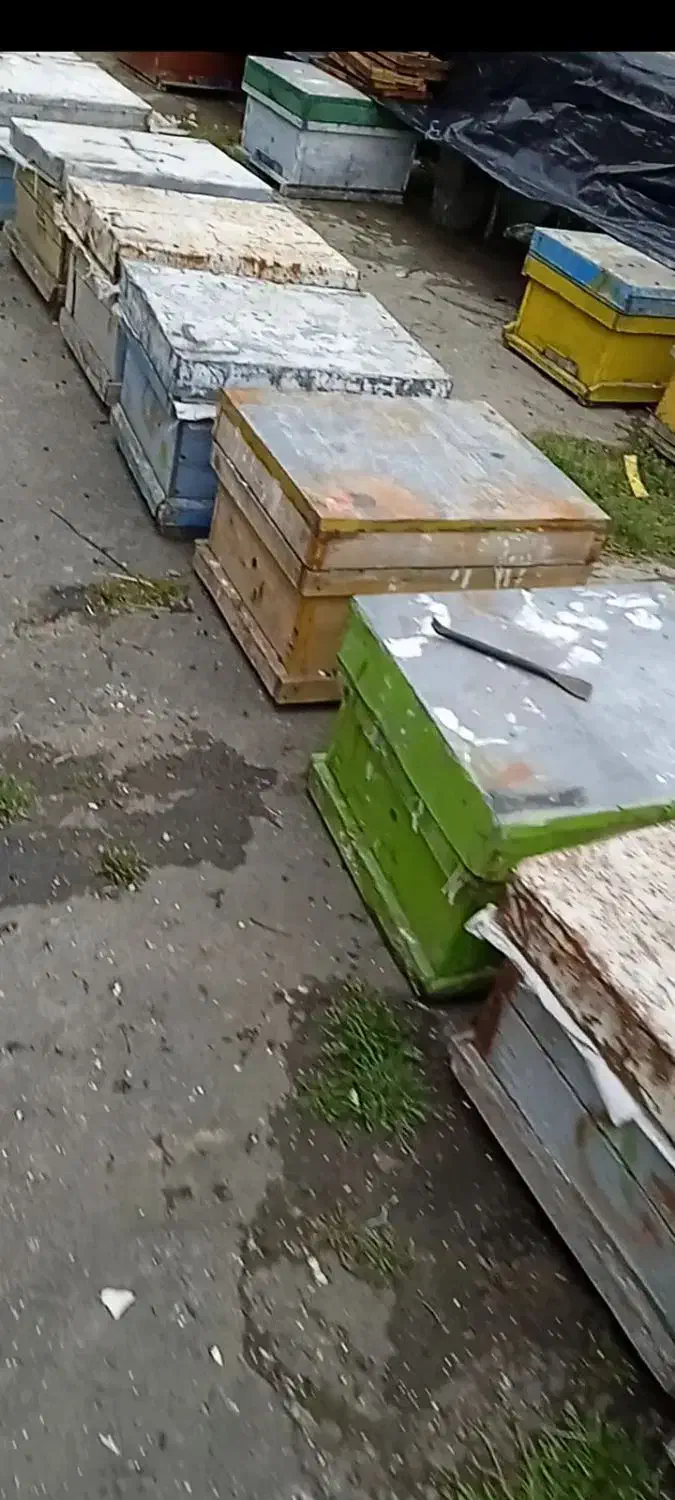 کندو چوبی زنبور عسل|لوازم جانبی حیوانات|فرح آباد, |دیوار