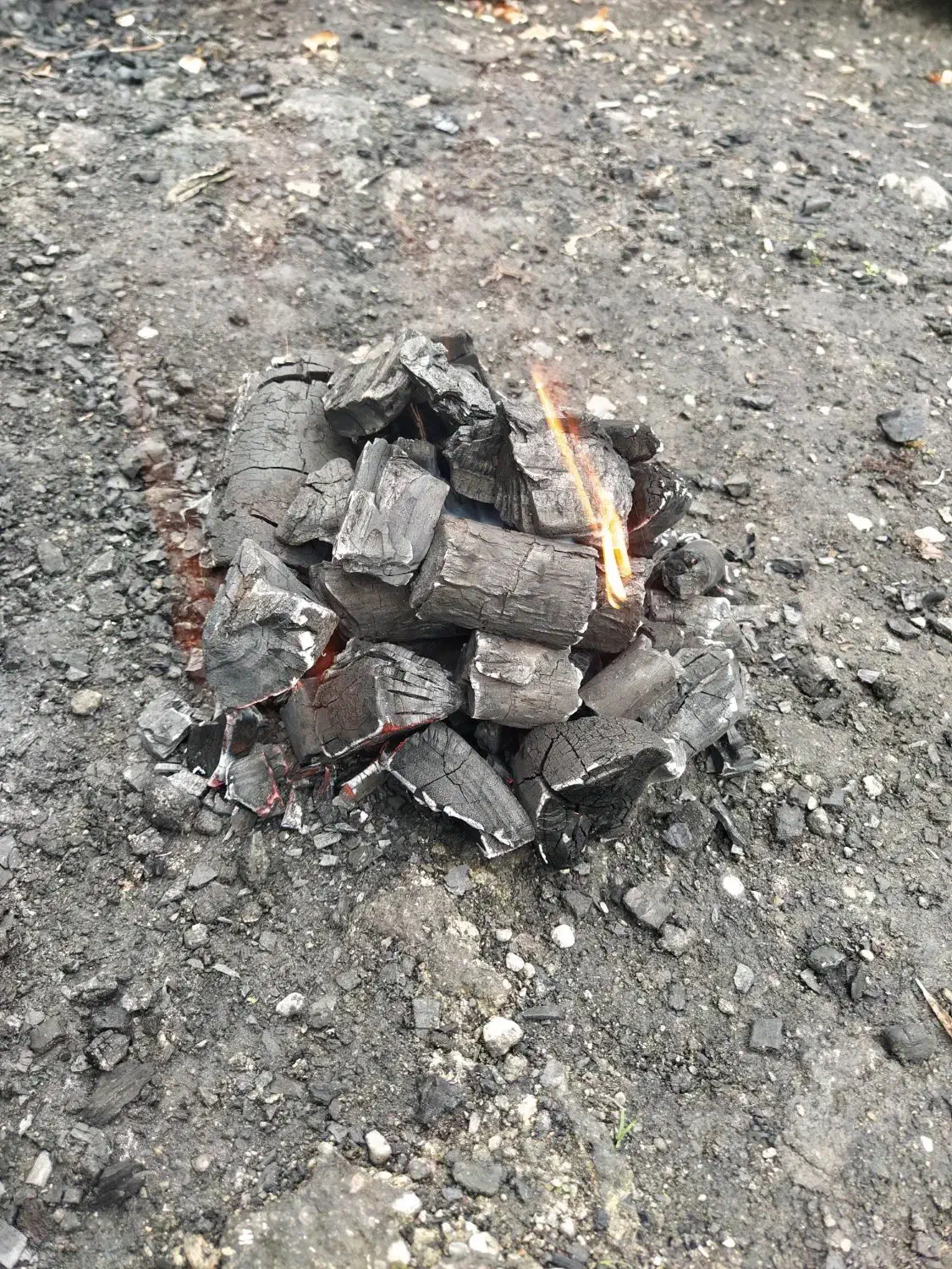 ذغال خود سوز|عمده‌فروشی|تالش, جوکندان|دیوار