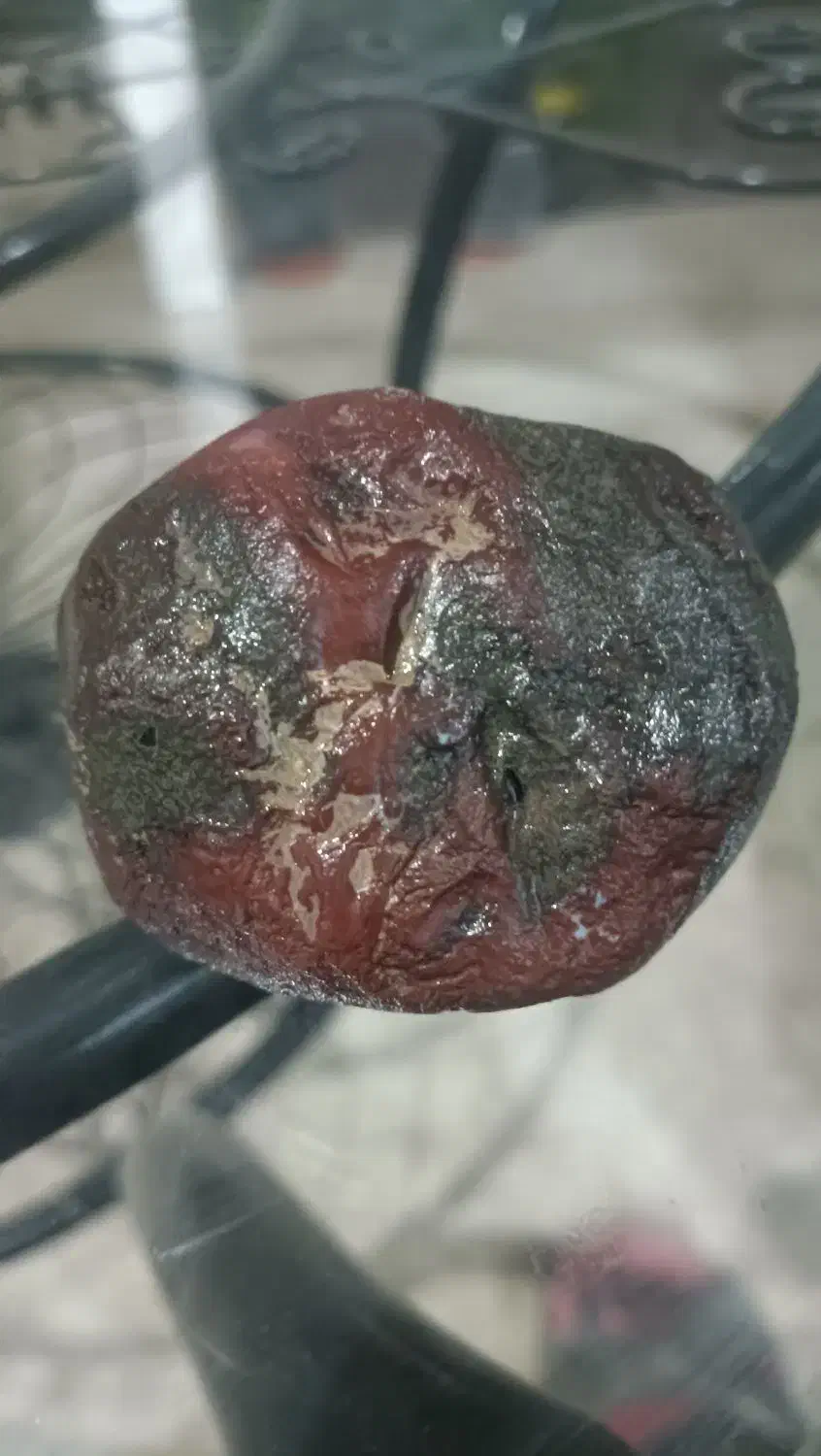 سنگ برش نخورده|جواهرات|کرج, فاز ۳ گوهردشت|دیوار