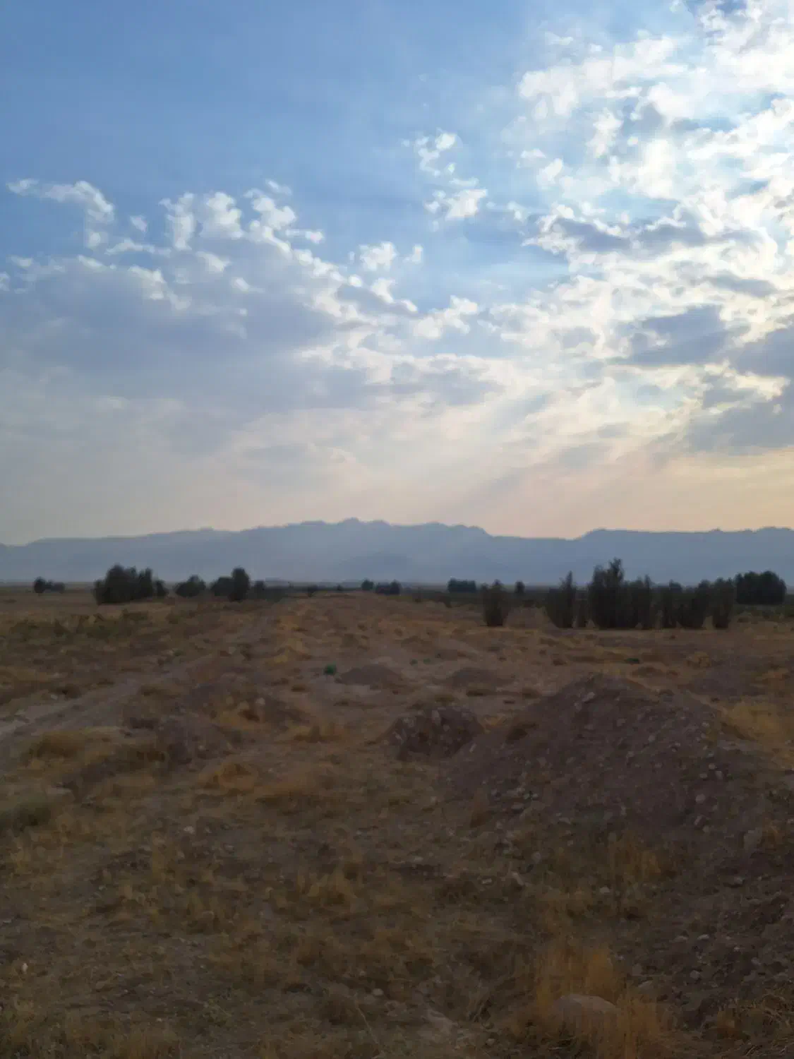 زمین کشاورزی بهترین راه برای سرمایه گذاری|فروش دفتر صنعتی، کشاورزی، تجاری|شیراز, وزیرآباد|دیوار