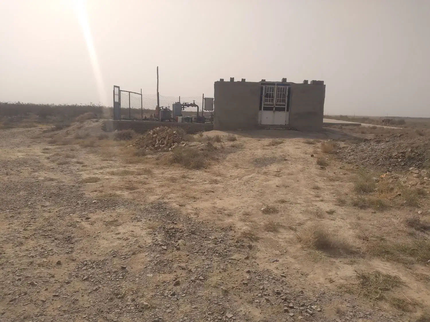 فروش باغ پسته ۱۵ ساله|فروش دفتر صنعتی، کشاورزی، تجاری|رشتخوار, |دیوار