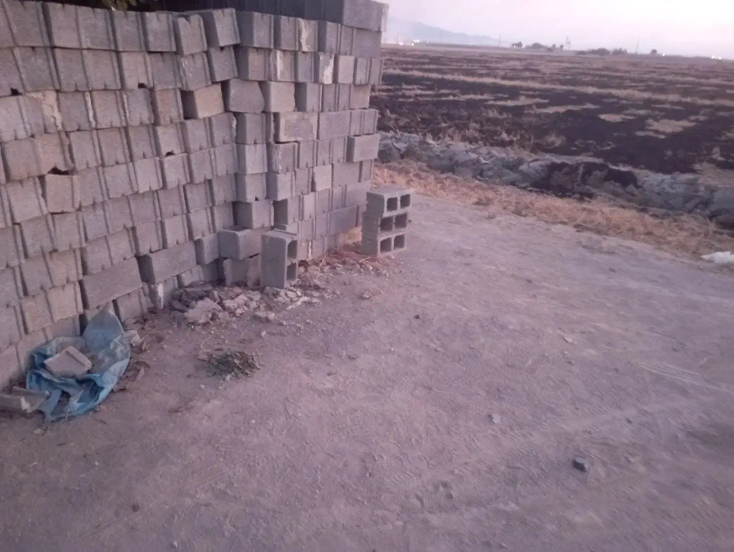 اجاره سالانه جهت کشت گوجه و چلتوک‌ وگندم|اجارهٔ دفتر صنعتی، کشاورزی، تجاری|درودزن, |دیوار