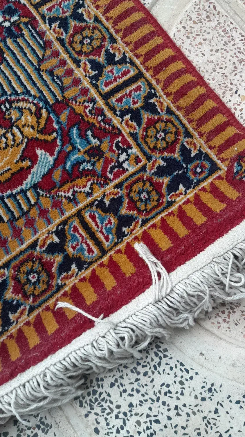 فرس ۹متری|فرش|رشت, لاکان شهر|دیوار