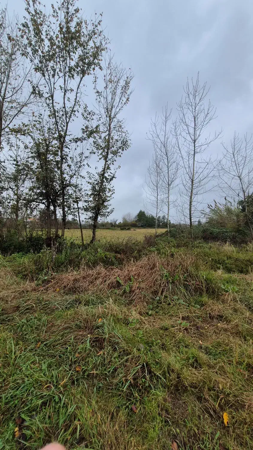 با ۹۷۰ میلیون از امروز شروع به ساخت کن+ امتیاز گاز|فروش زمین و ملک کلنگی|رشت, بازار|دیوار