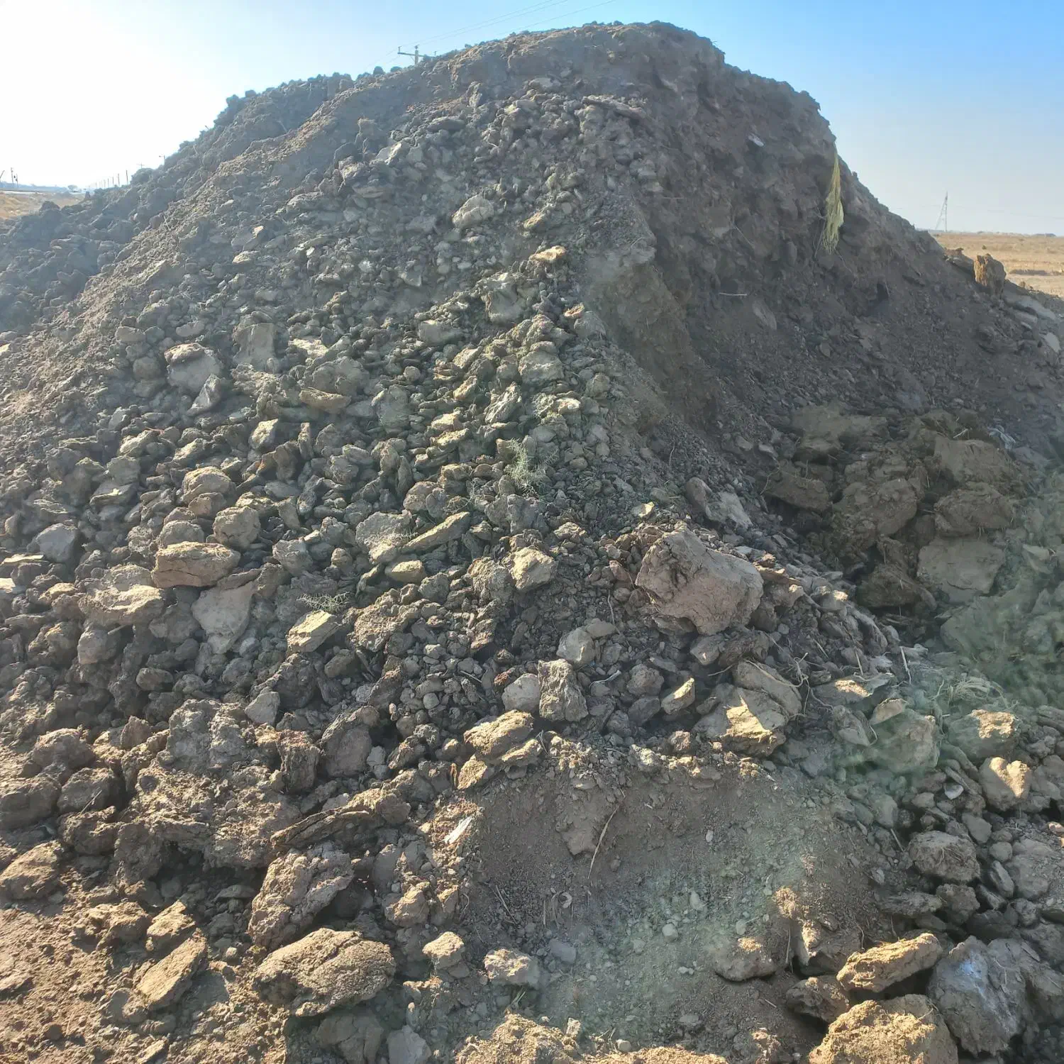 اگه باغ داری الان وقتشه|گل و گیاه طبیعی|نیشابور, شهرک فیروزه|دیوار