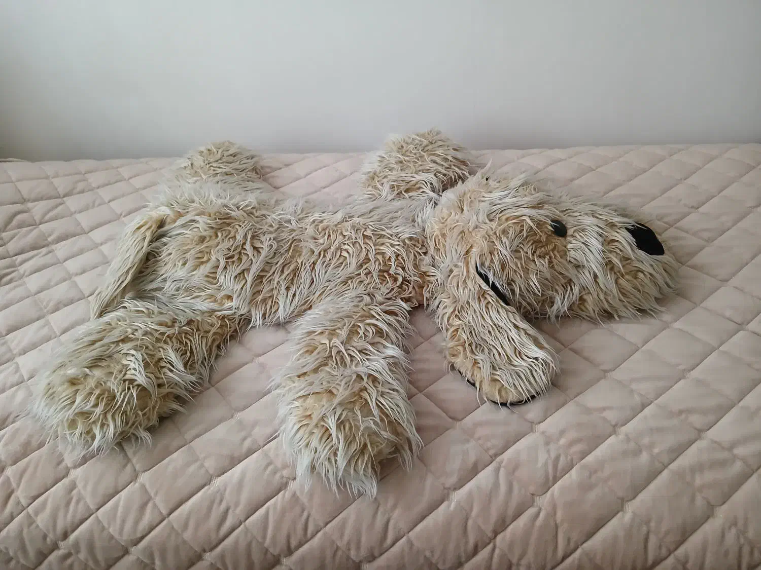 عروسک سگ|اسباب‌‌بازی|میانه, |دیوار