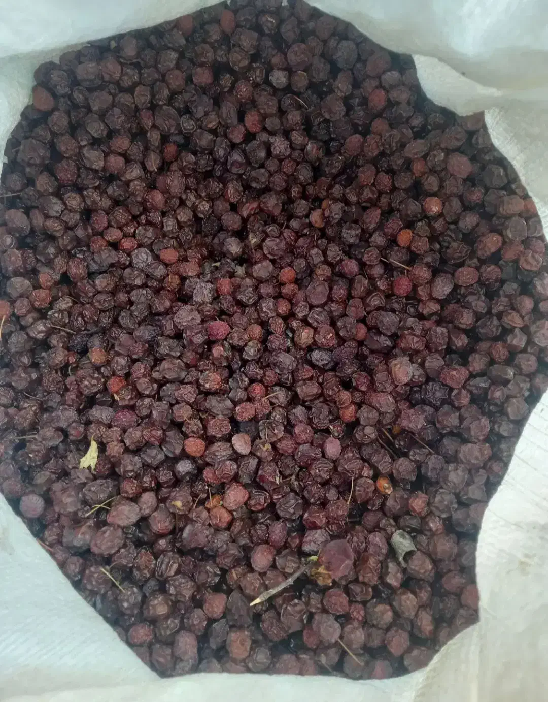 آلوچه خشک|خوردنی و آشامیدنی|تهران, بازار|دیوار