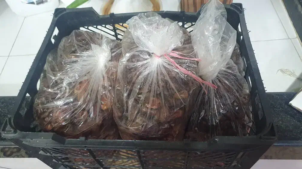 خرمای بدون هسته و مویز|خوردنی و آشامیدنی|شیراز, ریشمک|دیوار