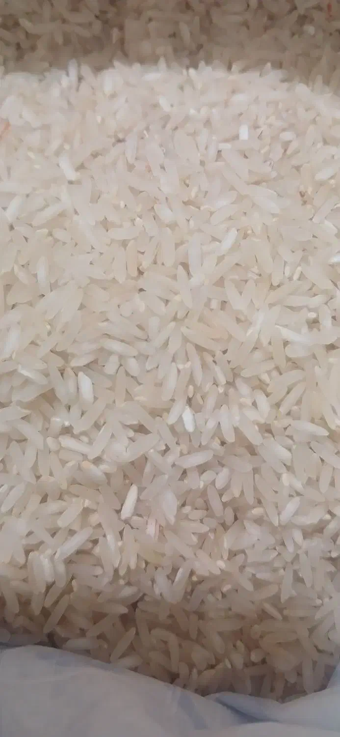 برنج هاشمی درجه یک|خوردنی و آشامیدنی|اندیشه, اندیشه فاز ۱|دیوار