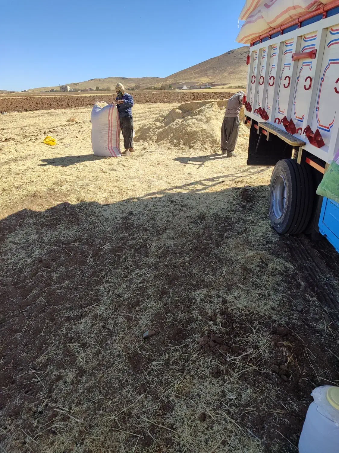 کاه سفید نرم کردستان|لوازم جانبی حیوانات|شاهین‌شهر, منطقه صنعتی سین|دیوار