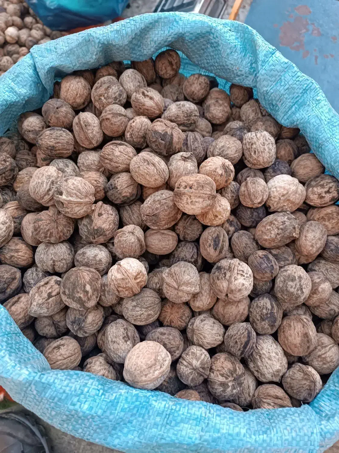 گردو درجه یک بشرط مغز|خوردنی و آشامیدنی|کاشمر, |دیوار