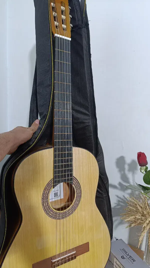 گیتار|گیتار، بیس، امپلیفایر|میاندوآب, |دیوار