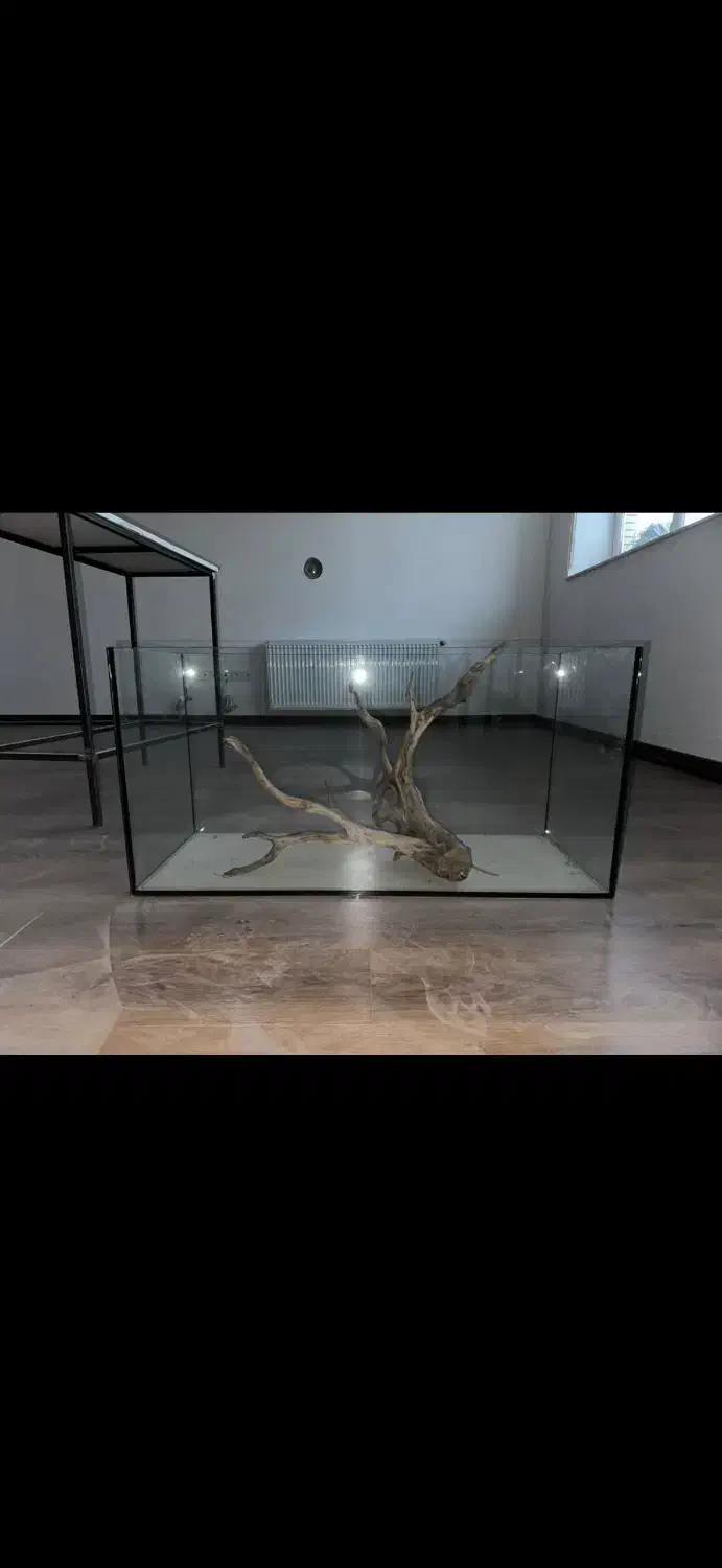 آکواریوم با تمام لوازم|ماهی|سراب, |دیوار