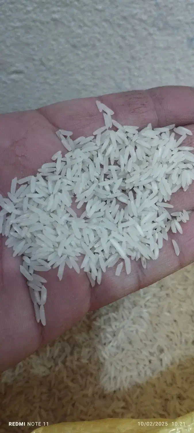 برنج گیلان|خوردنی و آشامیدنی|میانه, |دیوار