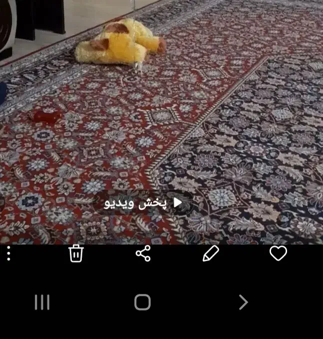 فرش ۱۲ متری دو عدد|فرش|یزد, |دیوار
