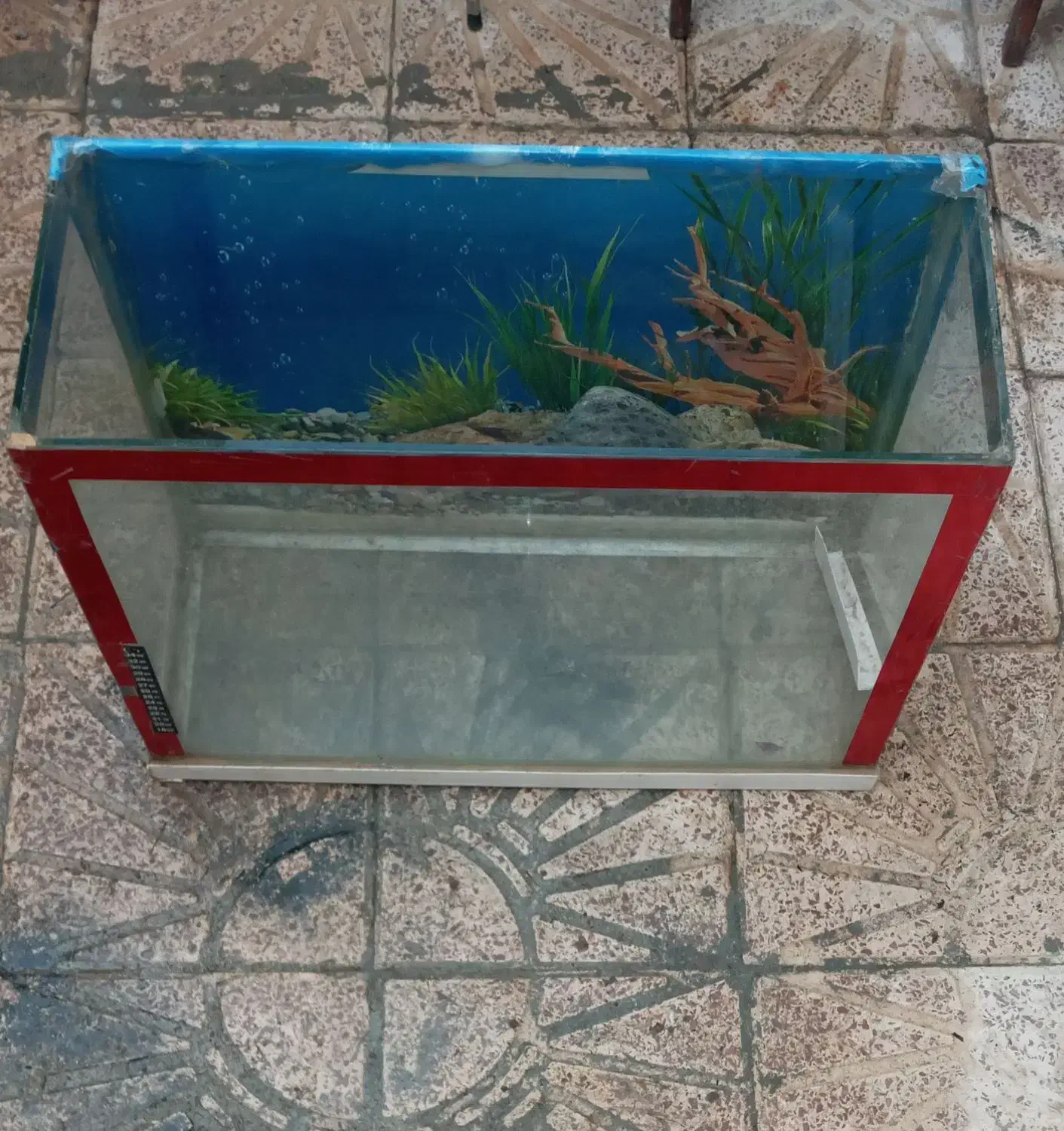 شیشه آکواریوم ماهی|ماهی|کامیاران, |دیوار