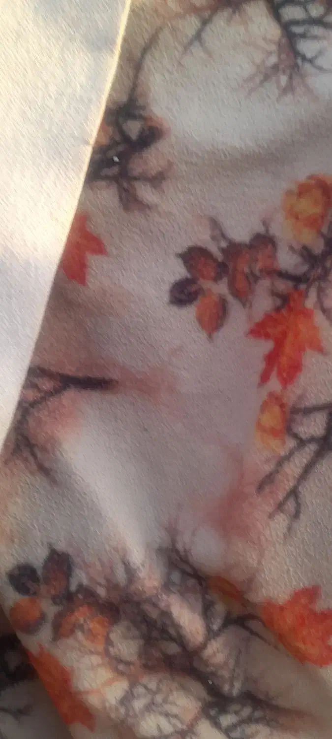 موکت درحدنووبدونه هیچ سوختگی|موکت|پاکدشت, حصار امیر|دیوار