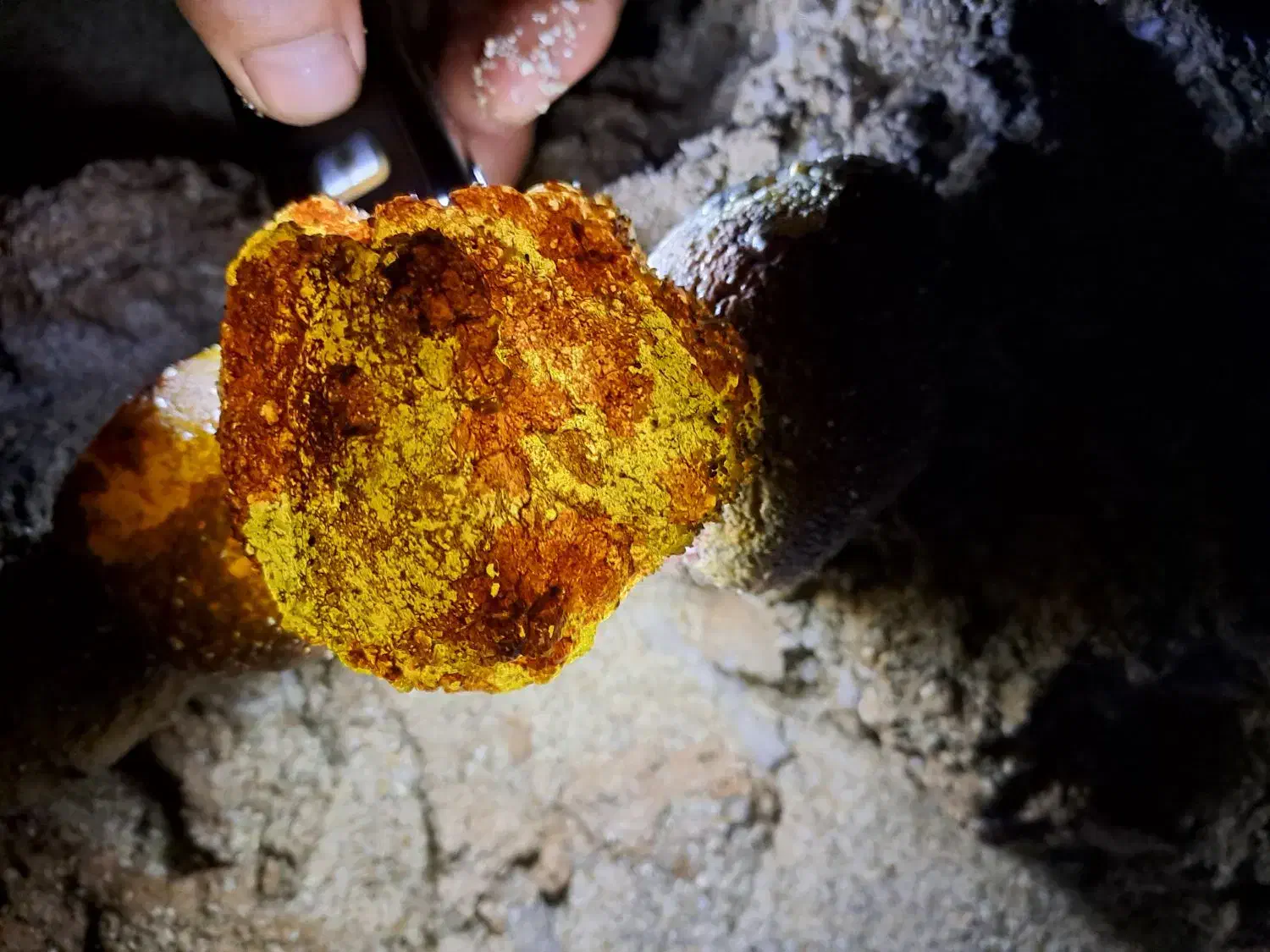 سنگ روشن قیمتی|کلکسیون اشیاء عتیقه|کیش, |دیوار