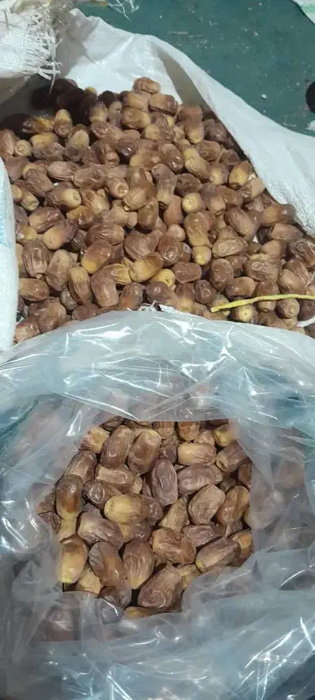 قصب درجه یک درشت قیمت توافقی|خوردنی و آشامیدنی|افزر, |دیوار