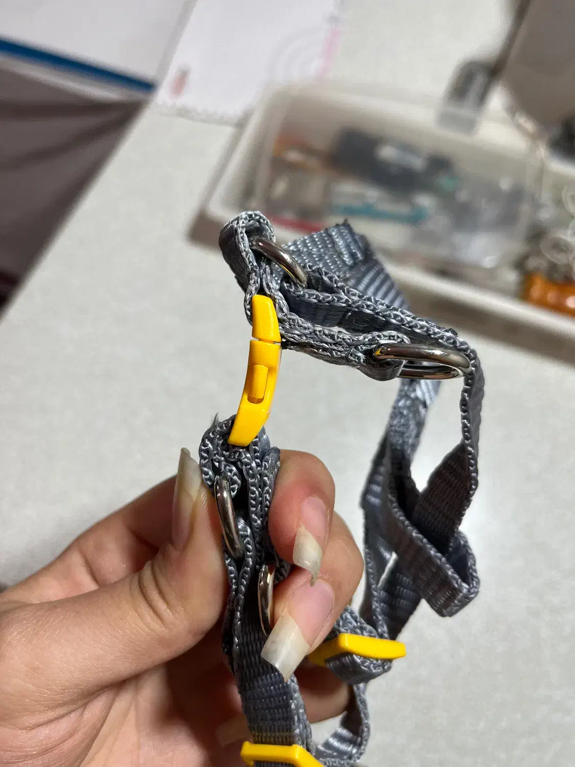 سگک(خرچنگی)|لوازم جانبی حیوانات|تهران, بیسیم|دیوار