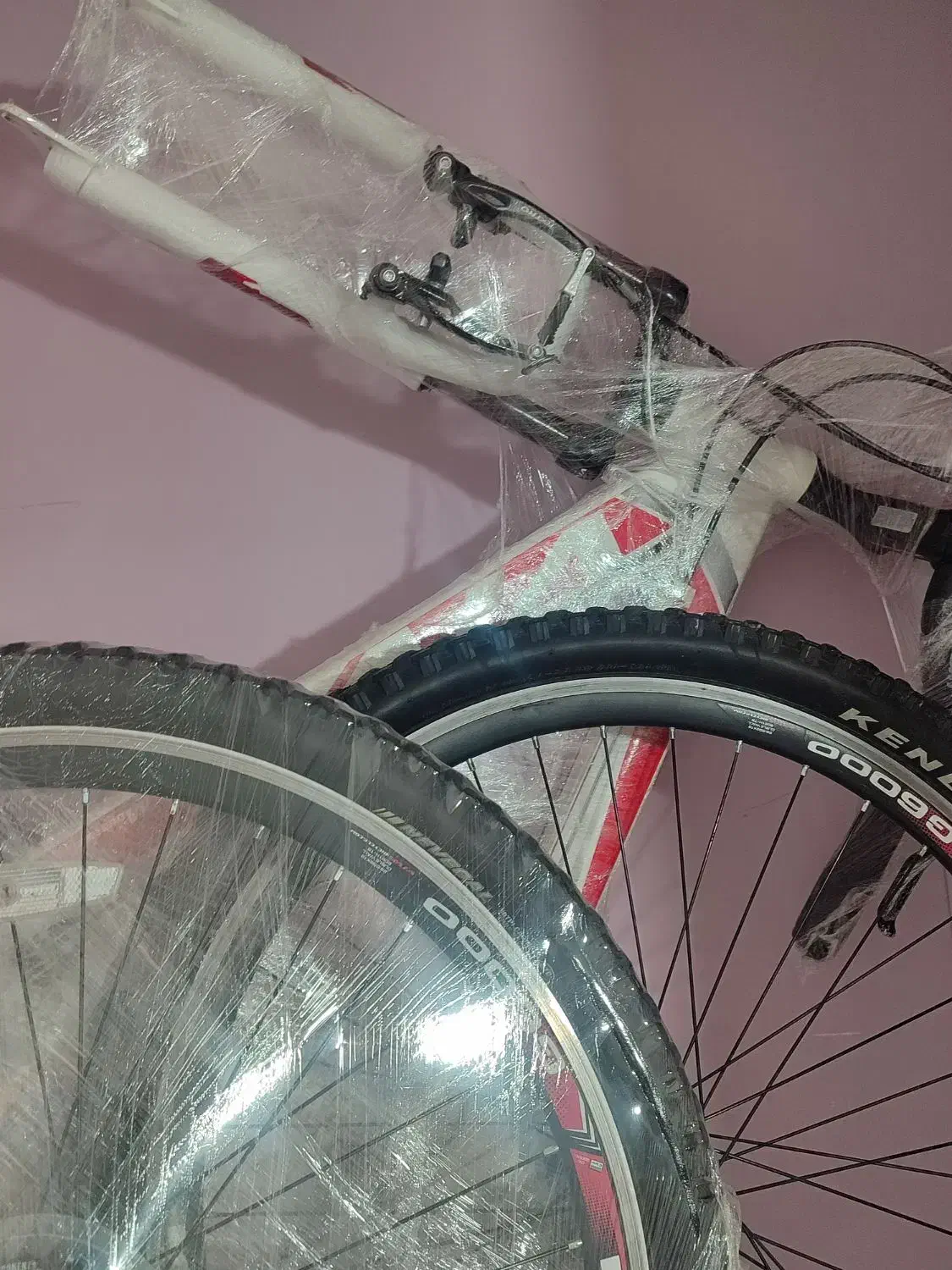 دو عدد دو چرخه ویوا|دوچرخه، اسکیت، اسکوتر|ایلام, |دیوار