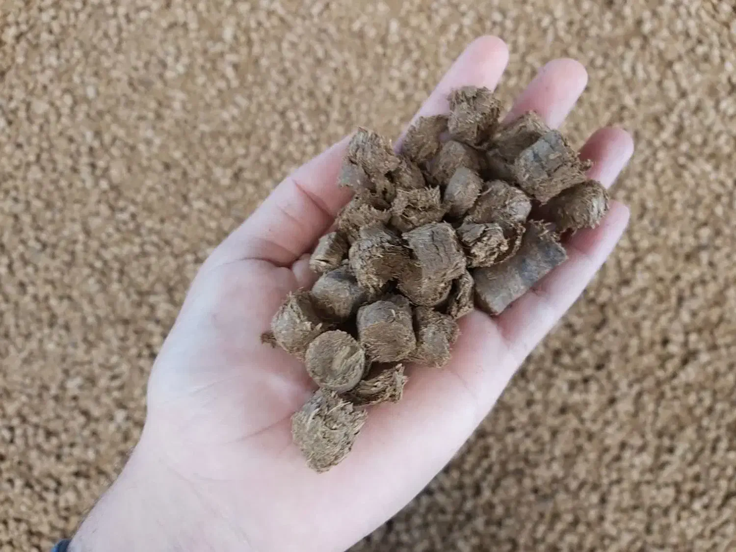 فروش خوراک دام وگاباس نیشکر همراه با آنالیز|عمدهفروشی|خمینیشهر, |دیوار