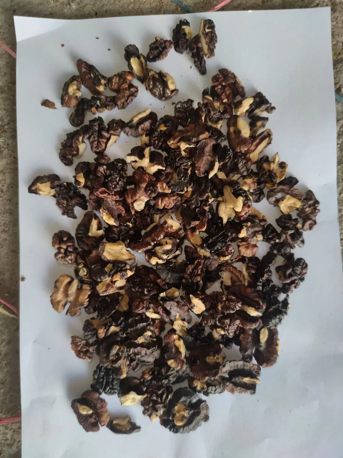 مغز گردو امسالی پر چرب تویسرکان|خوردنی و آشامیدنی|رشت, پارک شهر|دیوار