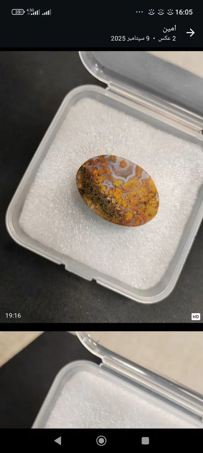 فروش نگین شجر زیبا|بدلیجات|بوشهر, |دیوار