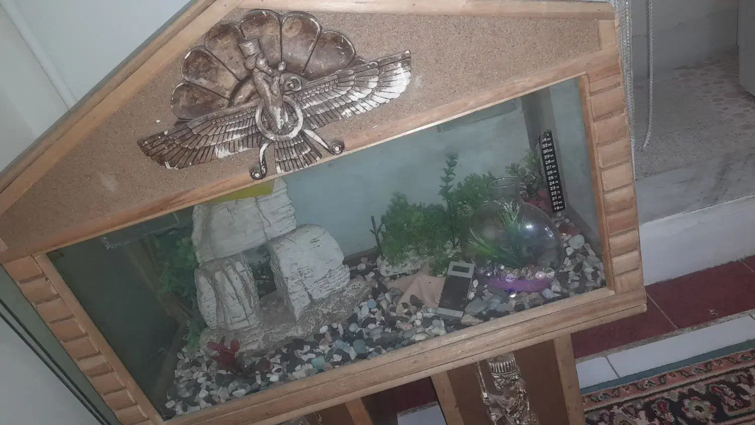 آکواریوم|ماهی|کرج, شهرک شیخ سعدی|دیوار