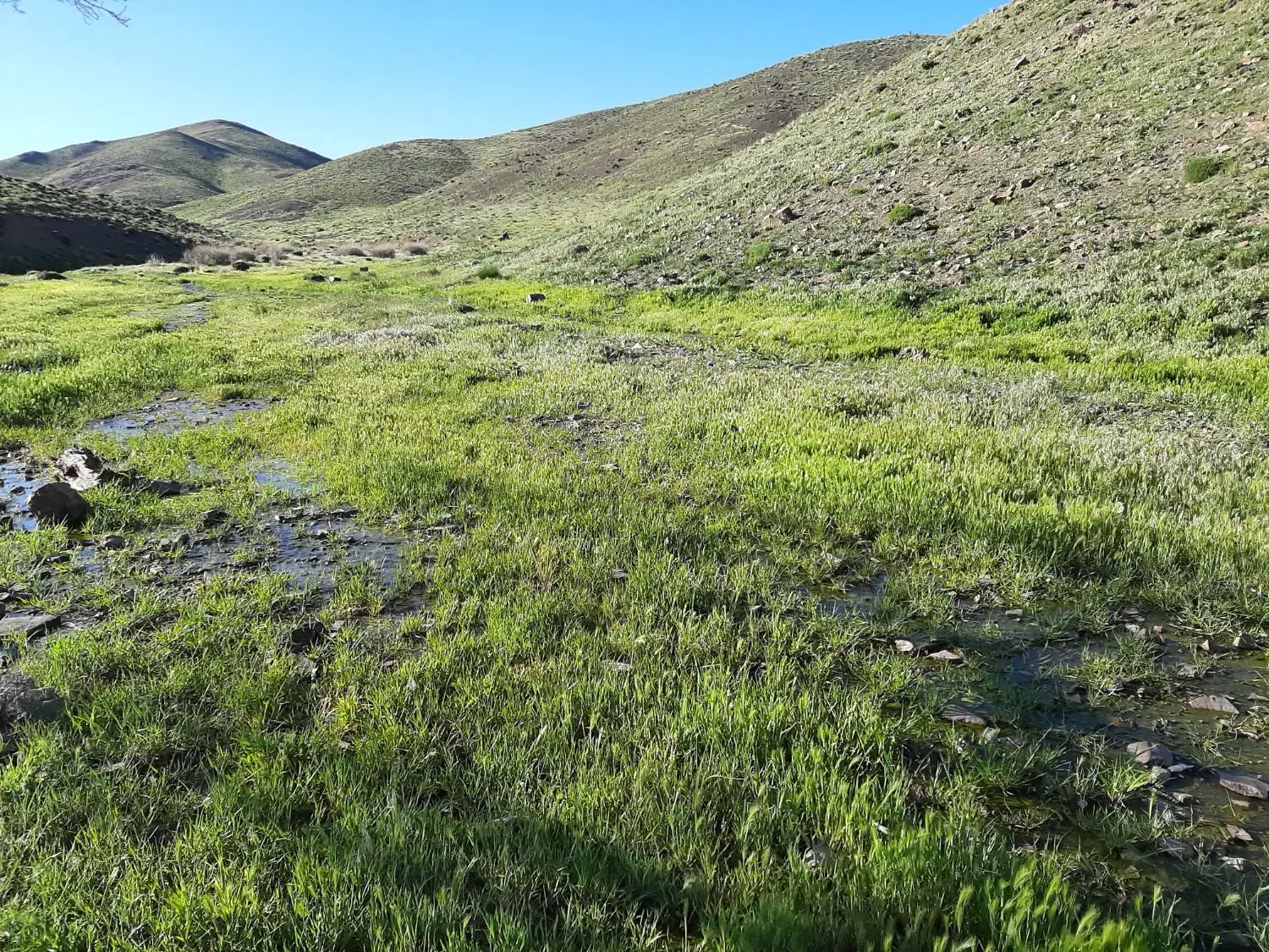 فروش باغ ویلا|فروش خانه و ویلا|نطنز, |دیوار