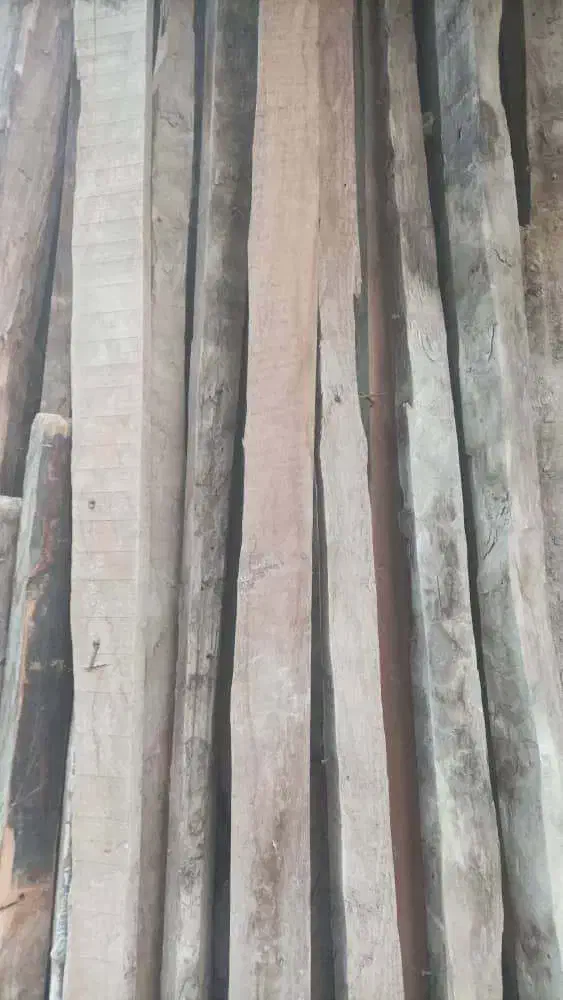 فروش چوب سالم|مصالح و تجهیزات ساختمان|گلوگاه, |دیوار