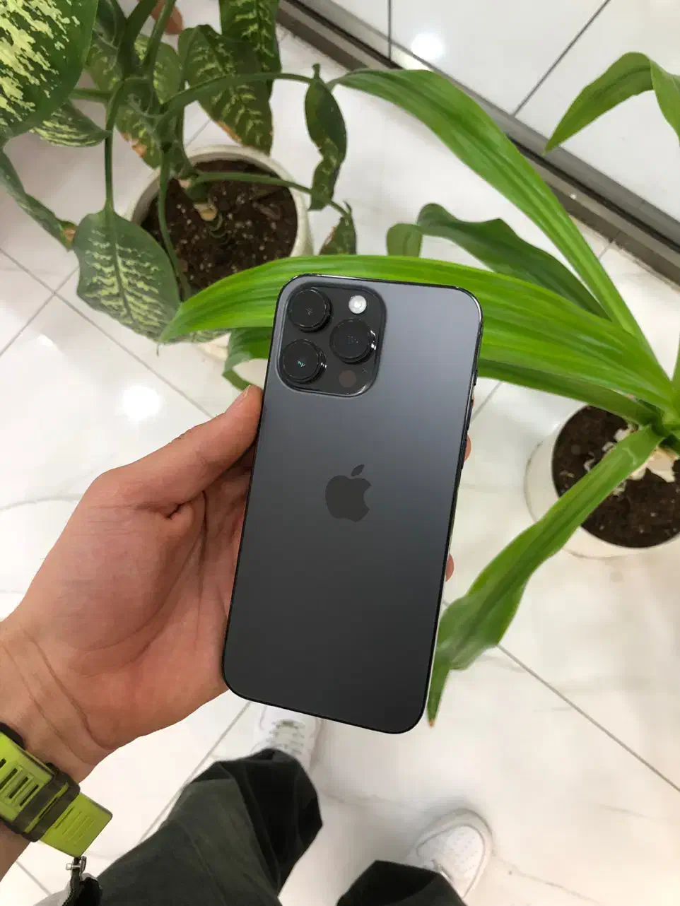 iPhone 14 Pro Max|موبایل|شیراز, عفیف‌آباد|دیوار
