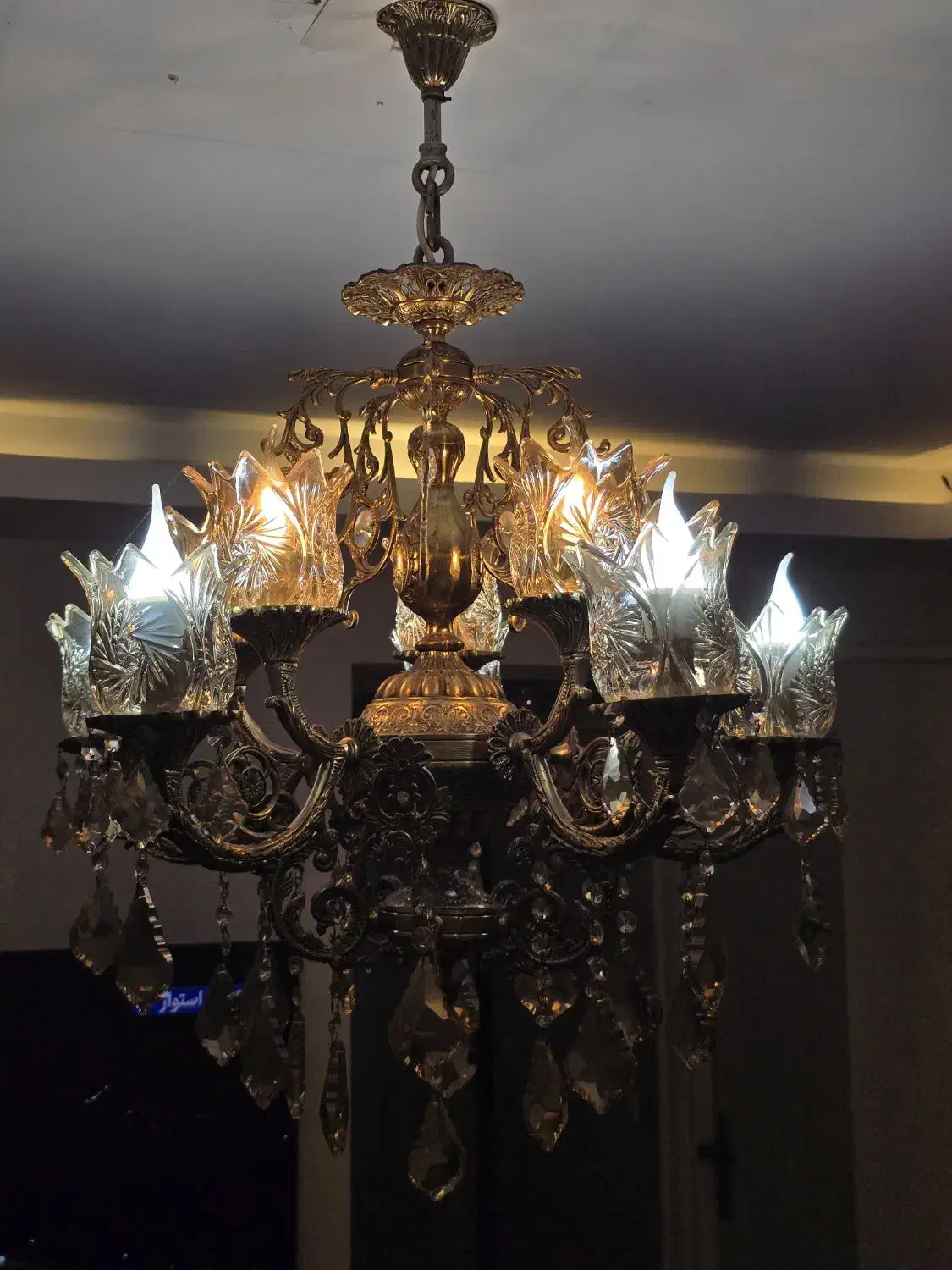 فروش لوستربرنج کریستال ،ده شعله|لوستر و چراغ آویز|رشت, کاکتوس|دیوار