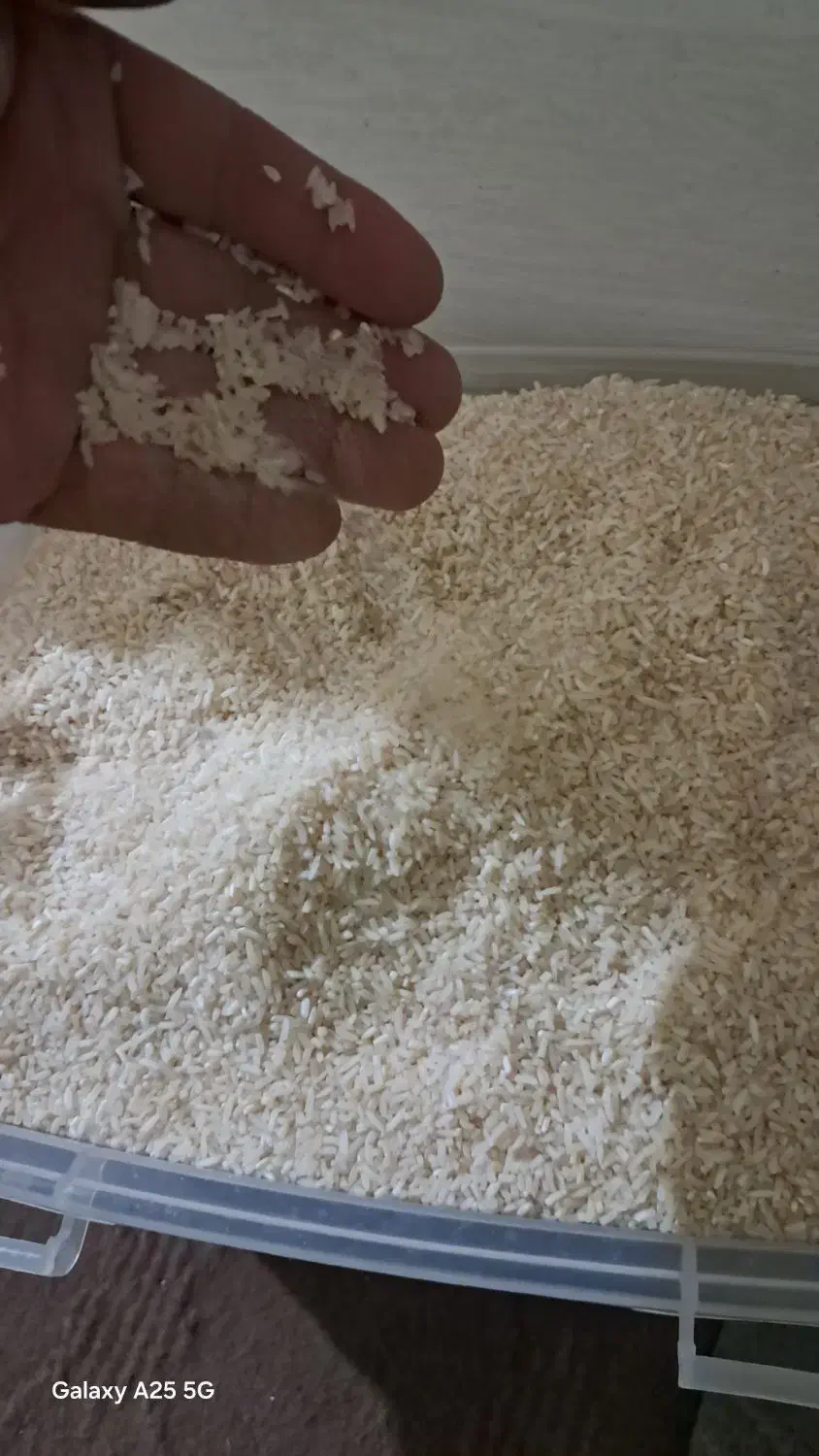 فروش برنج گردو زغال اخته ارگانیک|خوردنی و آشامیدنی|قزوین, |دیوار