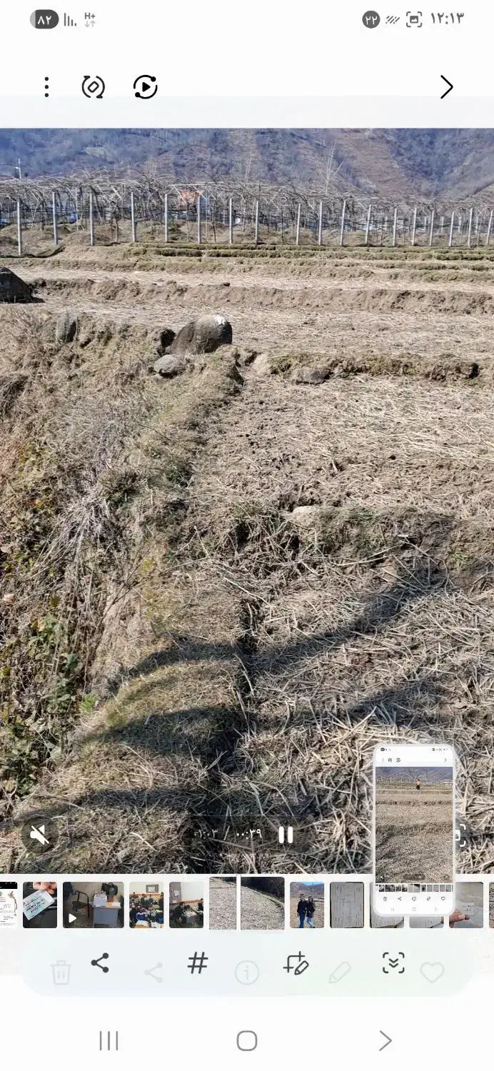 زمین مزروعی ۲۰۰۰ متر شیراباد تالش|فروش زمین و ملک کلنگی|حویق, |دیوار