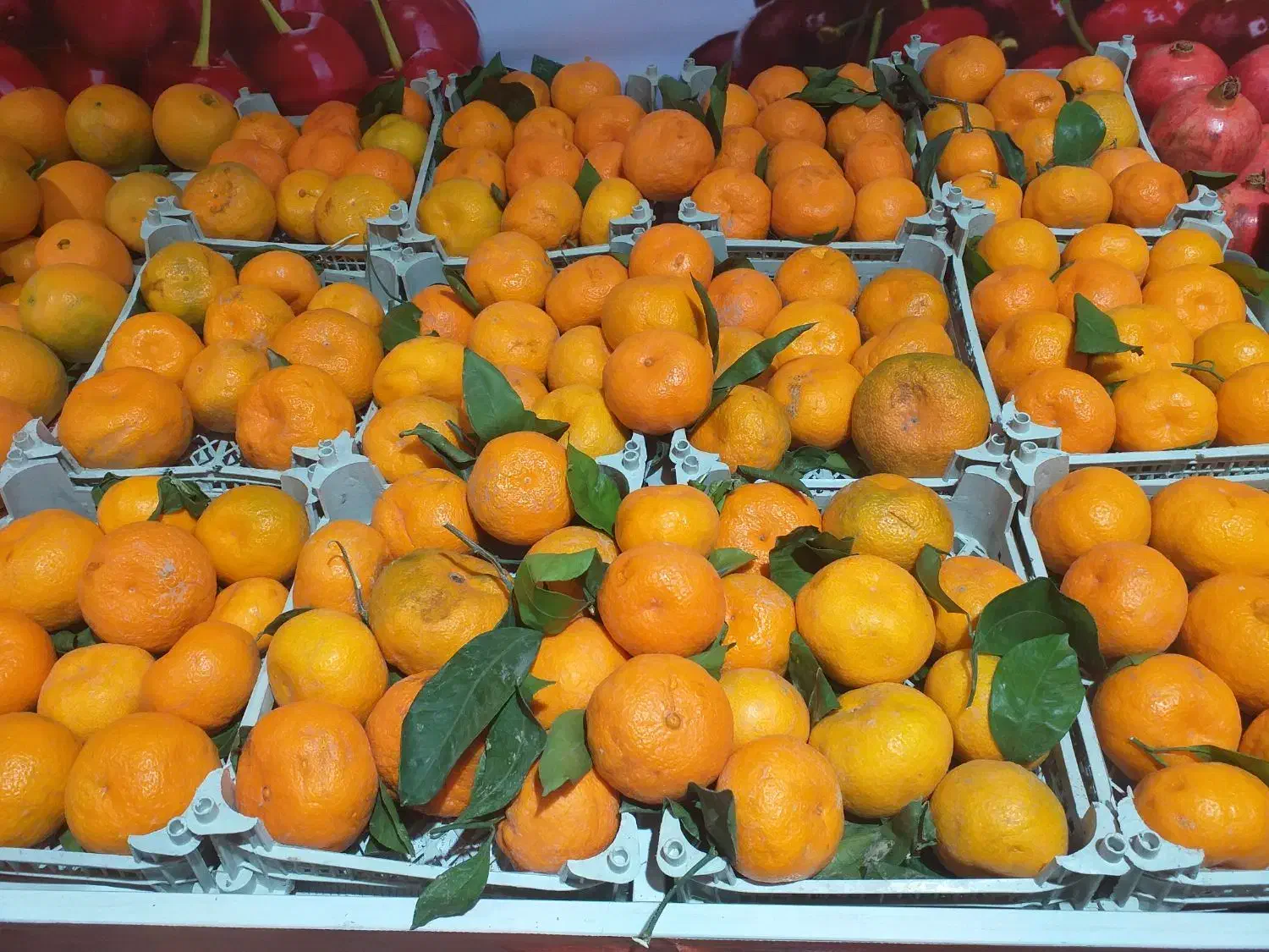 نیروی کار برای مغازه میوه فروشی|استخدام خدمات فروشگاه و رستوران|جم, |دیوار