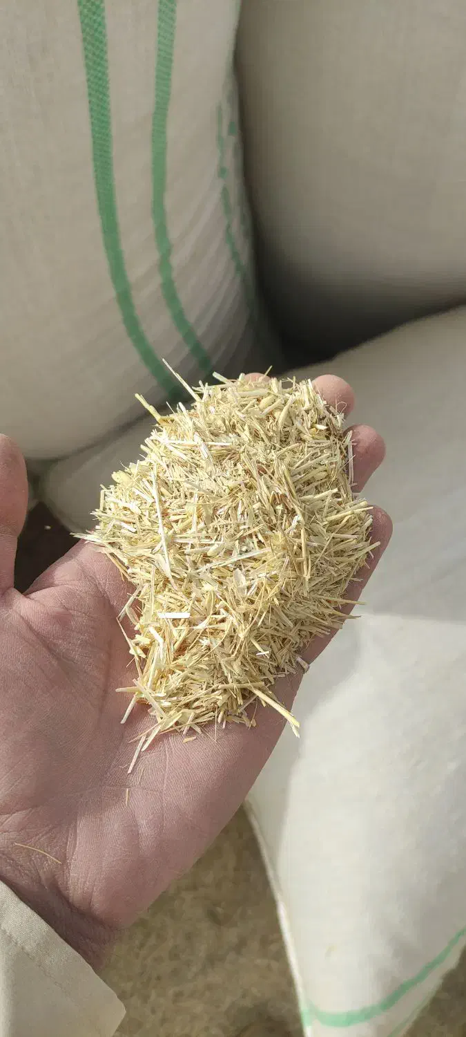 کاه گندم و لوبیا|لوازم جانبی حیوانات|دهگلان, |دیوار