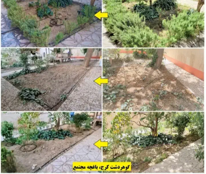 نصب و اجرای آبیاری قطره ای و بارانی|خدمات باغبانی و درختکاری|کرج, شهرک بنفشه|دیوار