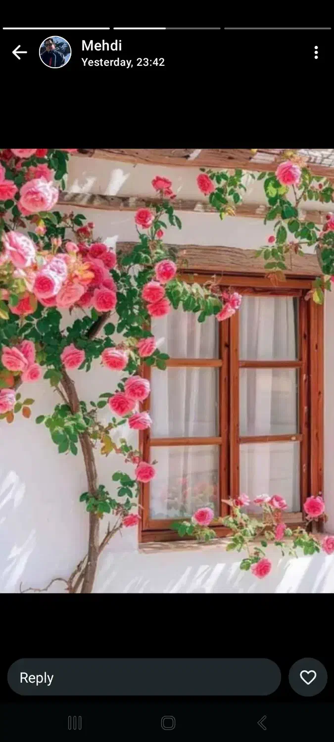 استخدام سرپرست باغ پسته|استخدام اداری و مدیریت|رفسنجان, |دیوار