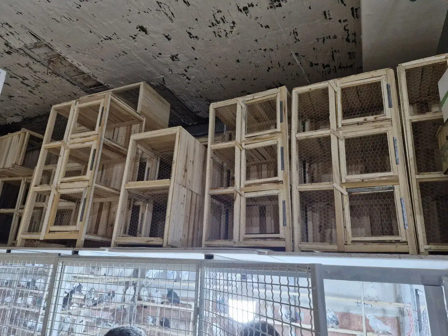 جفتخون چوبی|لوازم جانبی حیوانات|اراک, |دیوار