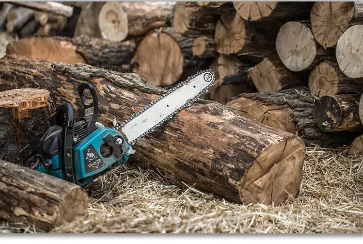 خرید انواع درخت و چوب  به قیمت روز (نقدی)|خدمات باغبانی و درختکاری|ارومیه, |دیوار