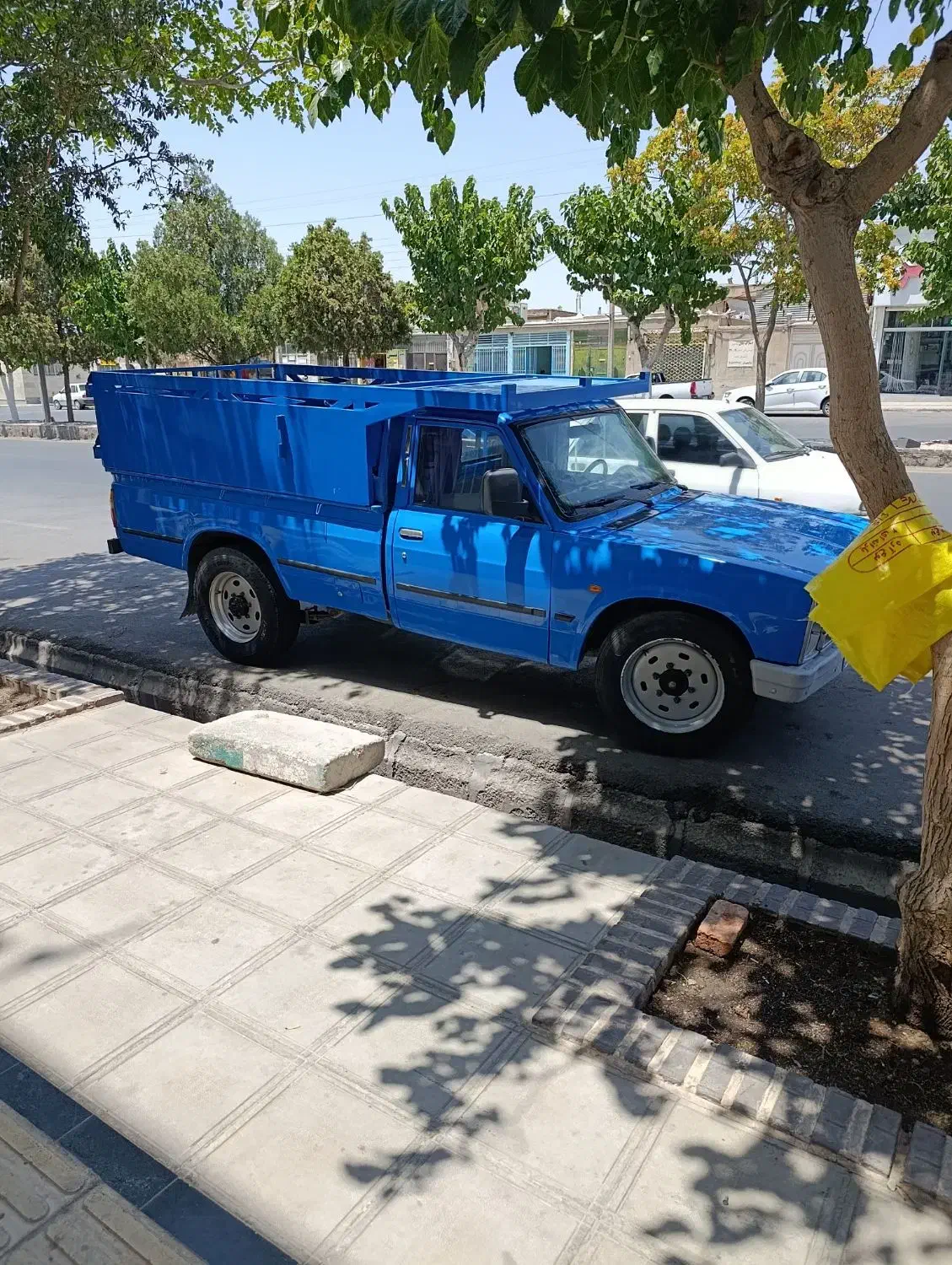 کود گاو|خدمات باغبانی و درختکاری|مود, |دیوار