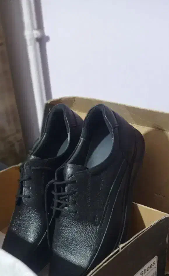 کفش چرم|کیف، کفش، کمربند|ارومیه, |دیوار