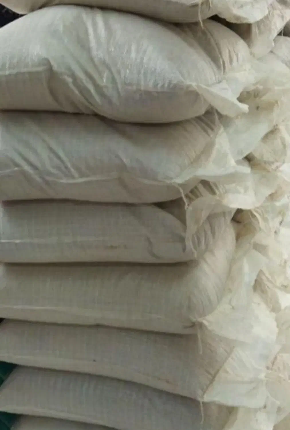 خاک دستشویی گربه|لوازم جانبی حیوانات|مشهد, کارگران|دیوار