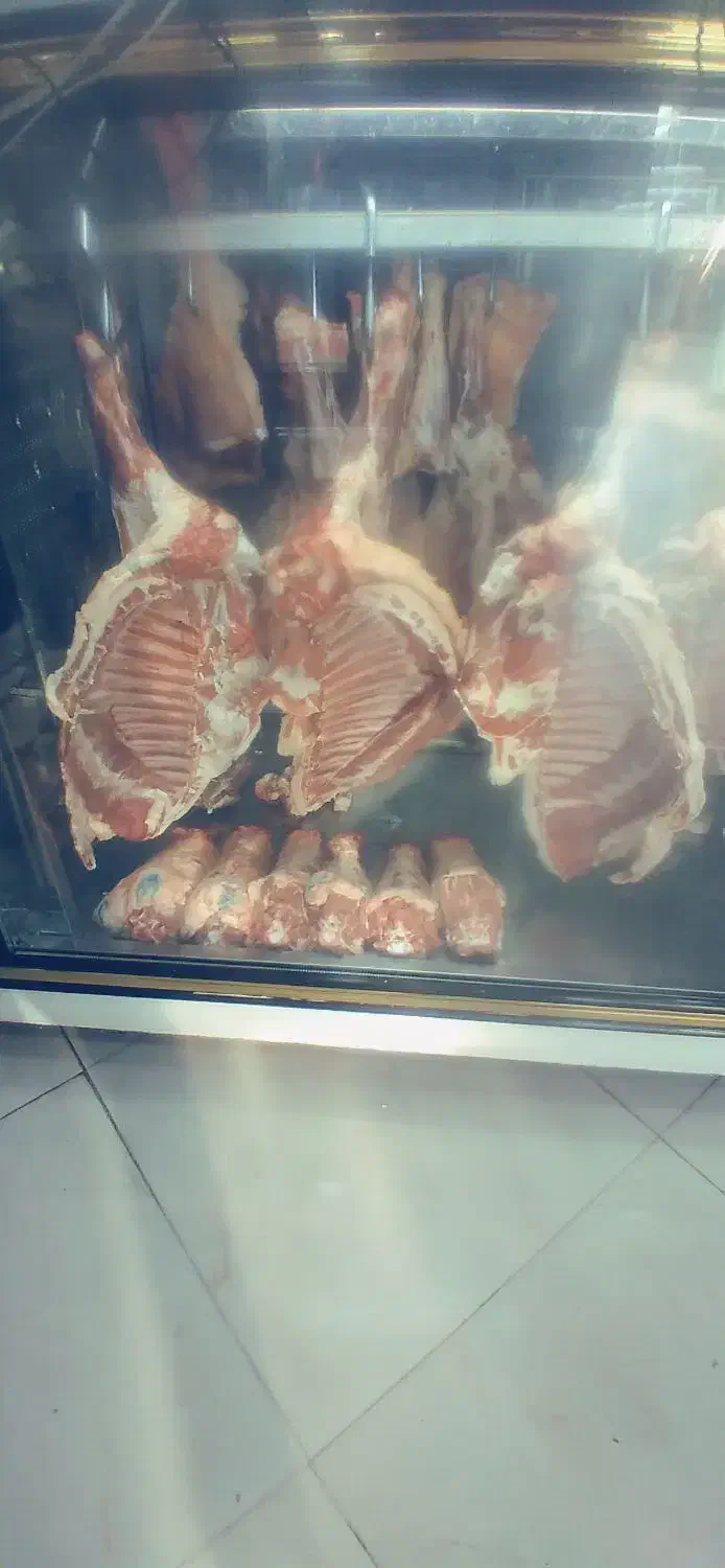 گوشت تازه کیفیت عالی|خوردنی و آشامیدنی|نوشهر, |دیوار