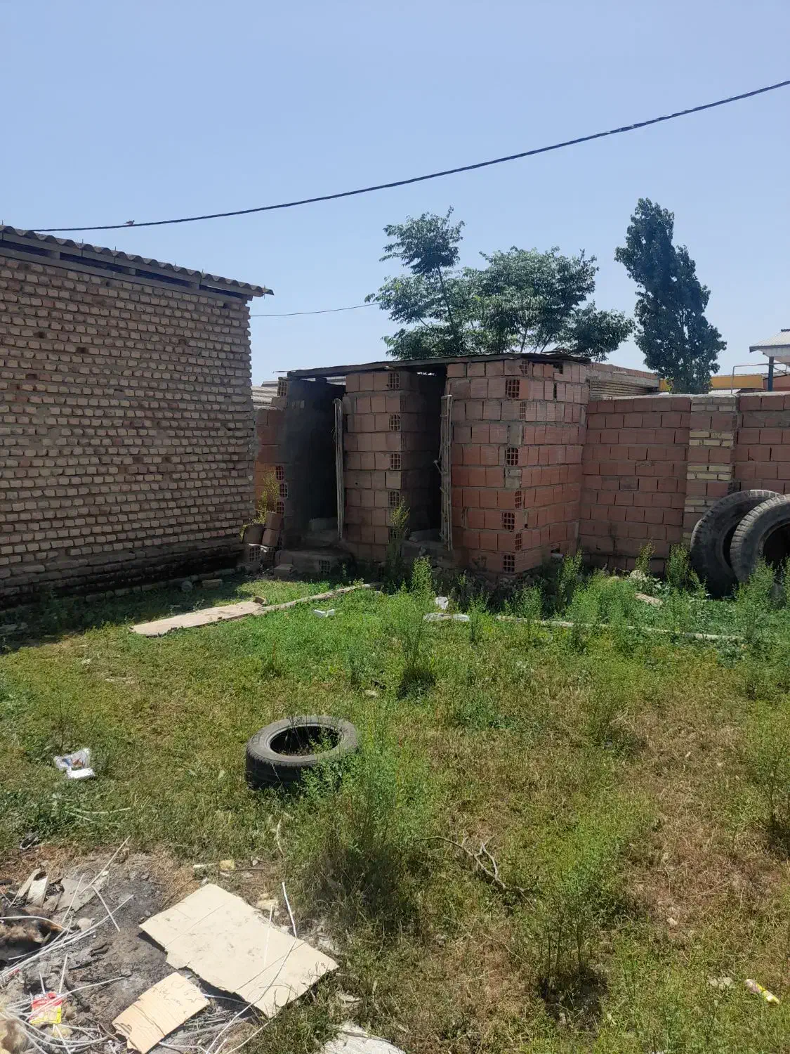 سالن مرغ تخمی و گوشتی با تجهیزات کامل کارشناسی|اجارهٔ دفتر صنعتی، کشاورزی، تجاری|آق قلا, |دیوار