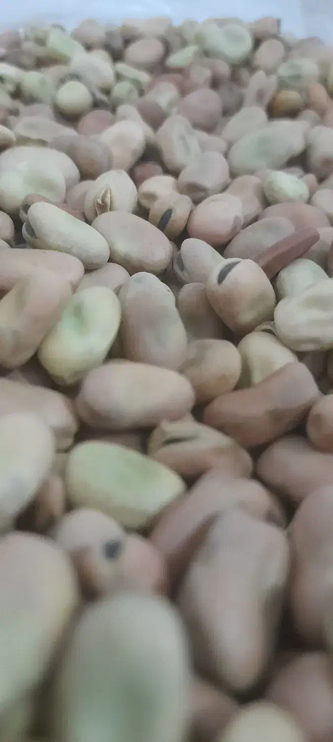 باقالی|خوردنی و آشامیدنی|نیشابور, هفده شهریور|دیوار