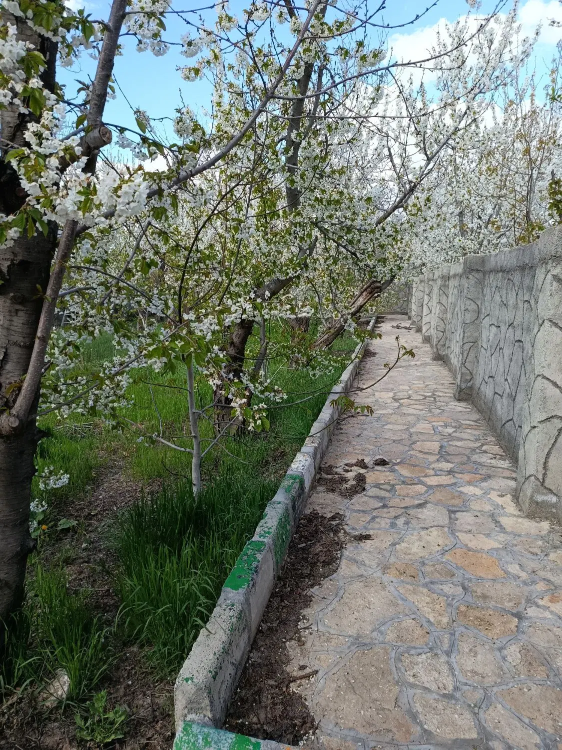 تصویر 6