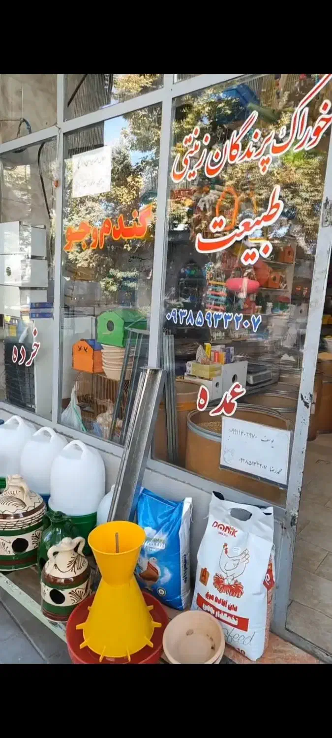 خوراک پرندگان زینتی در پرنده سرای طبیعت|لوازم جانبی حیوانات|مرند, |دیوار