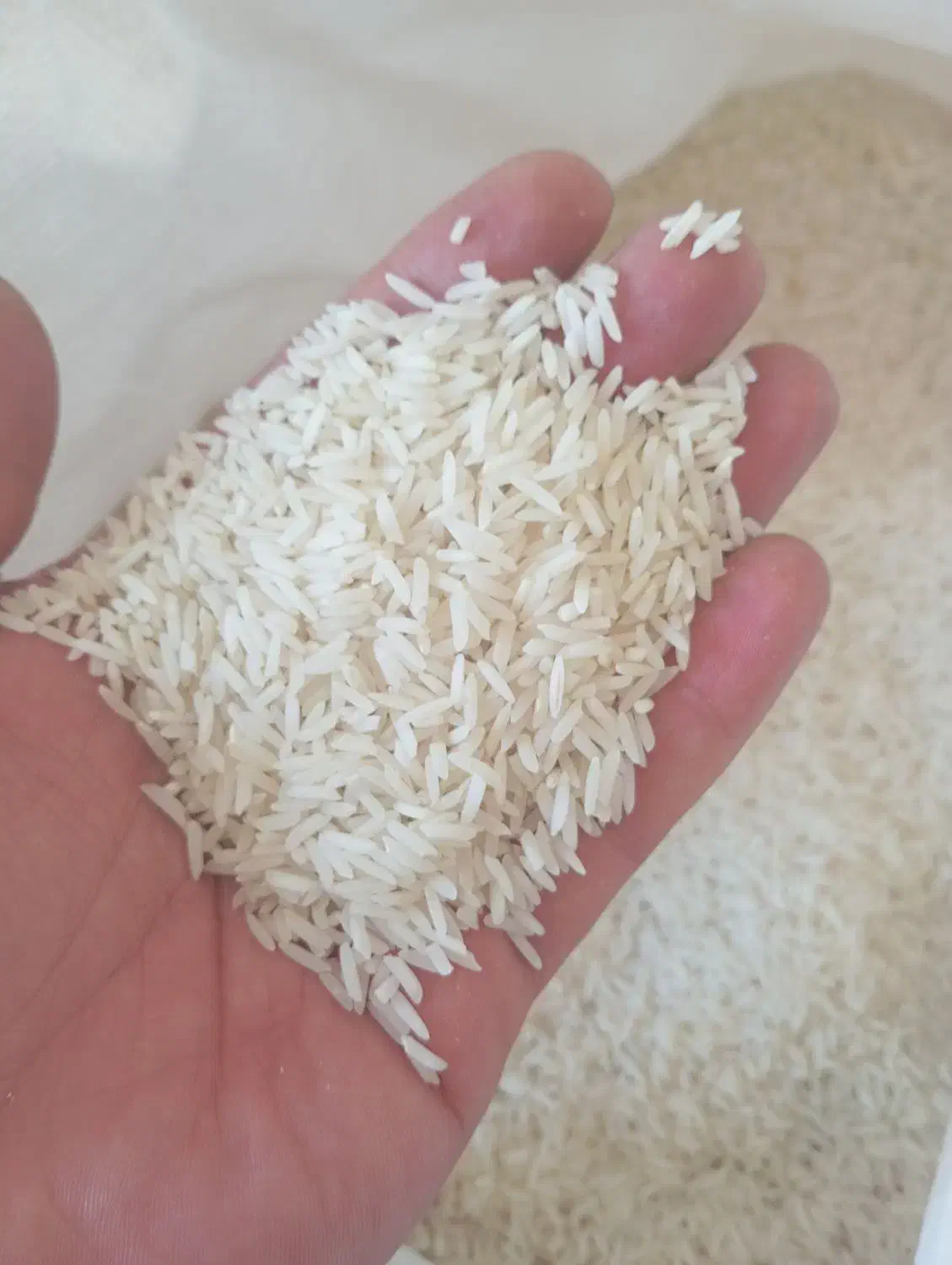 برنج سرلاشه هاشمی درجه یک|خوردنی و آشامیدنی|پاکدشت, شهرک انقلاب|دیوار